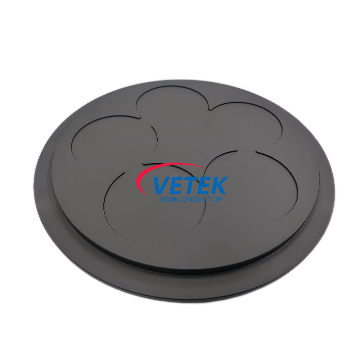 CVD SiC Coated Graphite Susceptor til Wafer Carrier