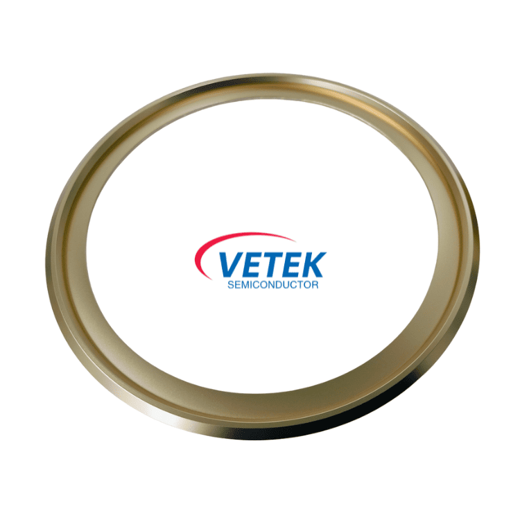 CVD TaC belagt grafitring